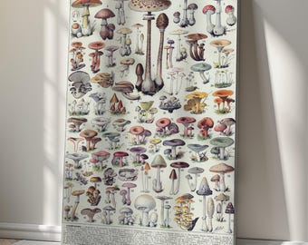 Vintage identificatiekaart schimmels, muurkunst op canvas paddenstoelen