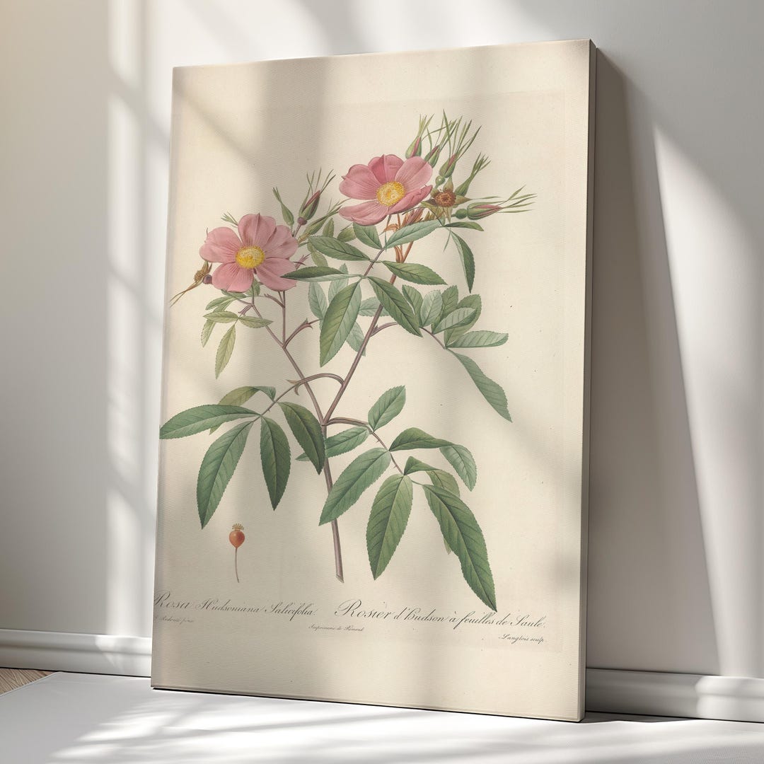 Pink Roses Vintage Botanical Flower Canvas Print – Antique Floral Wall ...