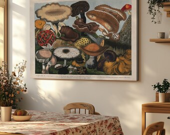 Antique Fungi Study Botanical, Mushrooms Canvas Print Wall Art