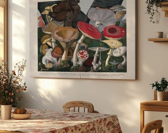 Illustration botanique de champignons vintage, impression sur toile, art mural