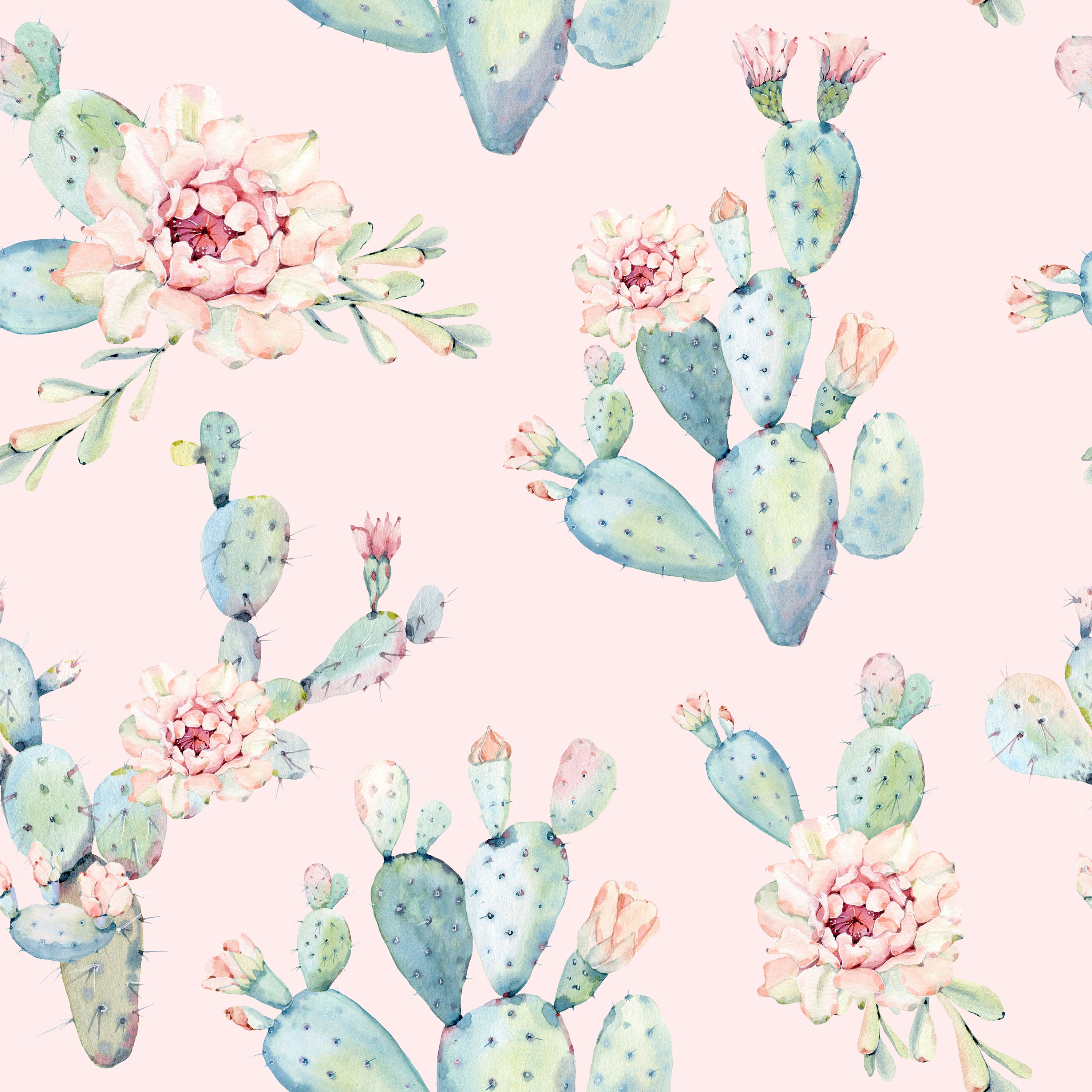 Blush Pink Cactus Wallpaper Eco Friendly Removable Etsy Singapore