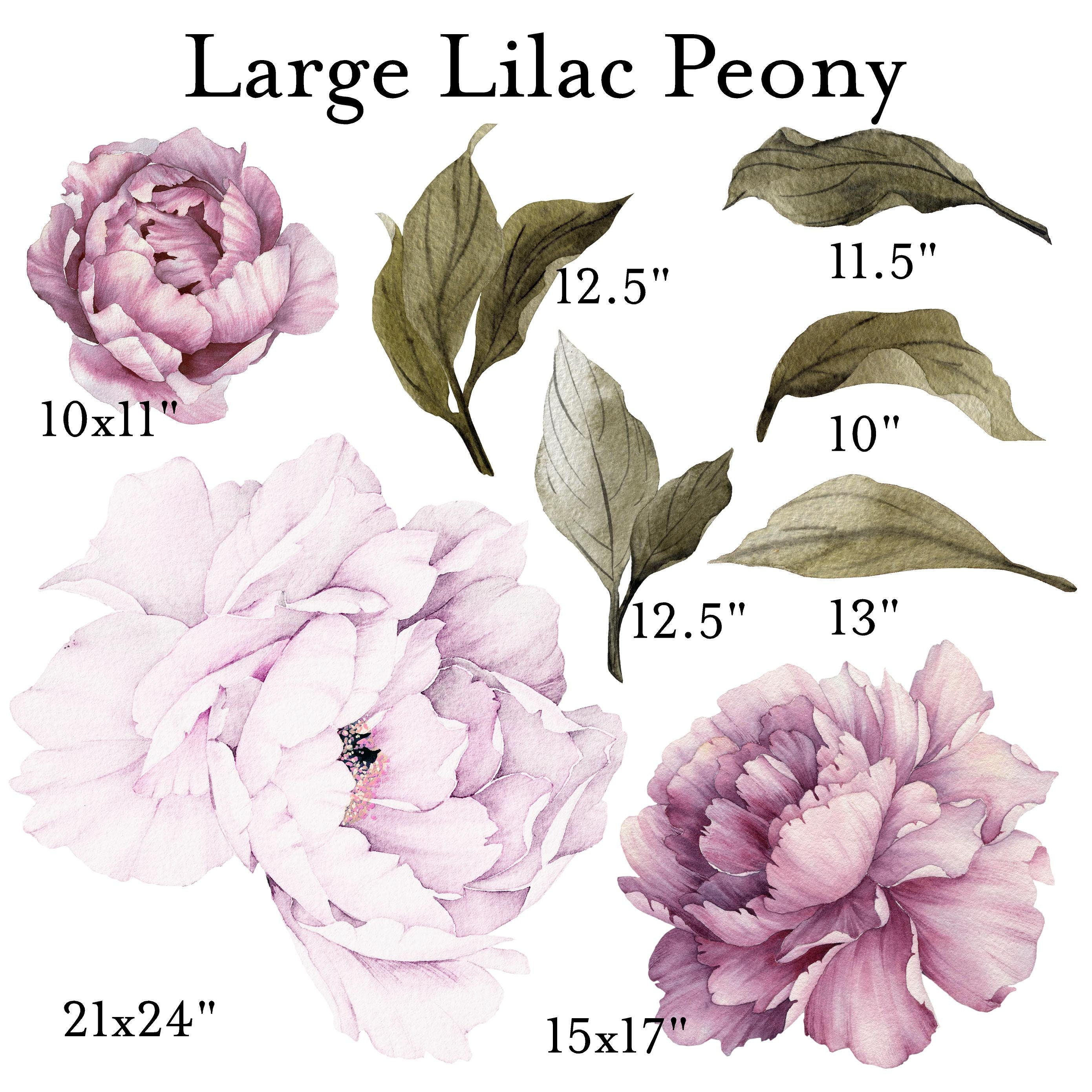 Lilac Peony Wallpaper Floral Decals Peel and Stick - Etsy