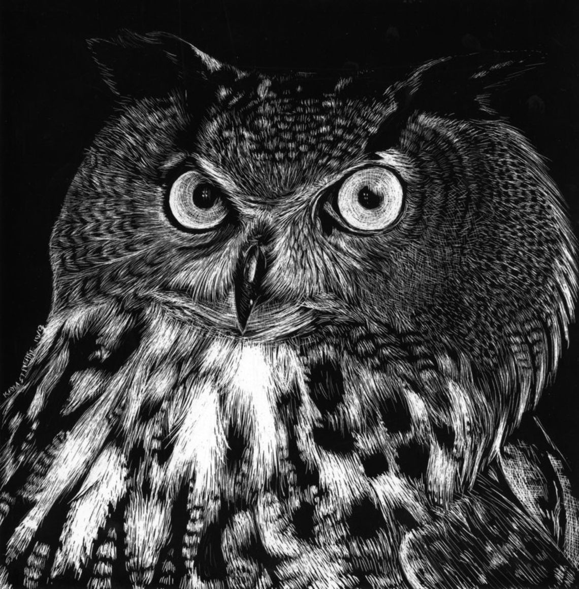 Owl Scratchboard Fine Art Print different sizes available Etsy