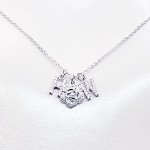 Discreet Hotwife Necklace, Platinum and CZ H W and Rose Pendants. Elegant Gift for Hotwife.