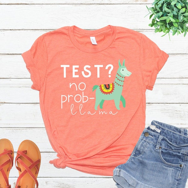 Test? No Prob-llama Testing Teacher Tee