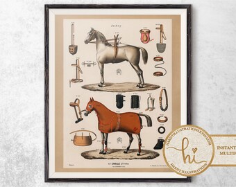 Horseback Riding Equipment by Unknown Artist, Vintage Horse Art Print, Chic Farmhouse Animal Poster, PRINTABLE Wall Art, Digital Download