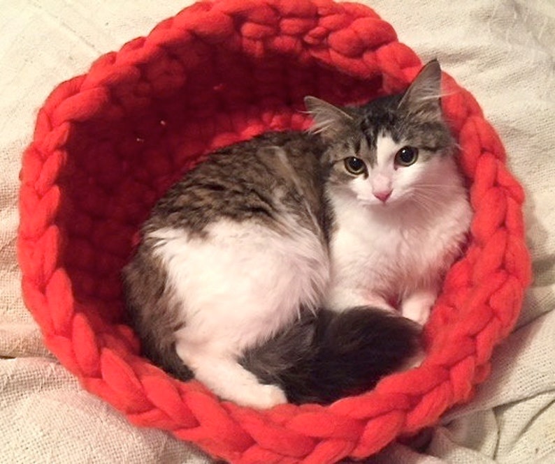 Cat Basket Bed royale Pet Bed Cat Bed Wool Cat Etsy UK