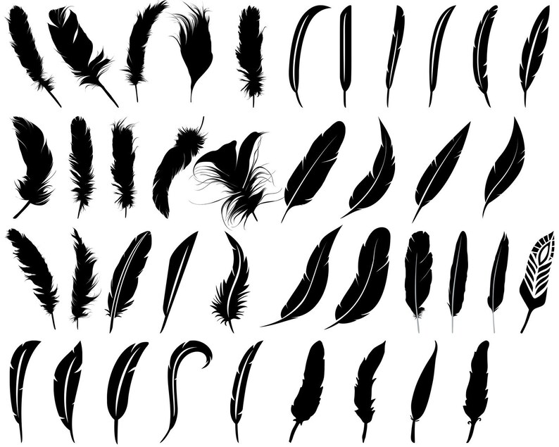Feather Svg Feathers Svg Feather Clipart Decorative Cricut Etsy