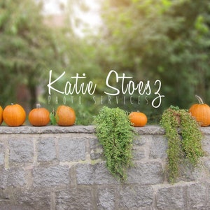 Fall themed pumpkin digital backdrop