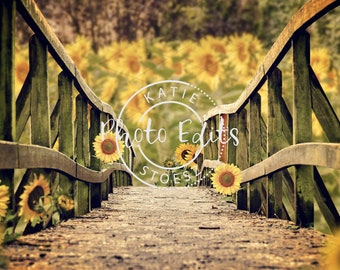 CdHBH 7X5ft Wooden Bridge Backdrop Wooden Bridge Tianshui Connected Photography Backdrops Photo Studio Background Props LYGY153 CdHBH 7X5ft Wooden Bridge Backdrop Wooden Bridge Tianshui Connected Photography Backdrops Photo Studio Background Props LYGY153