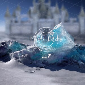 Princess frozen Digital Bacdrop