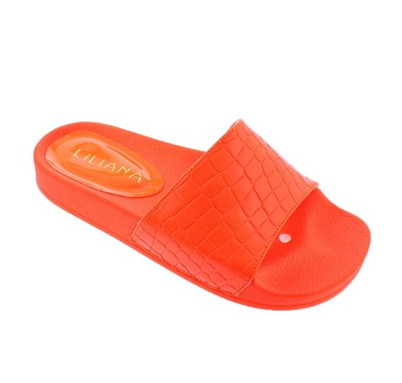 apl neon slides