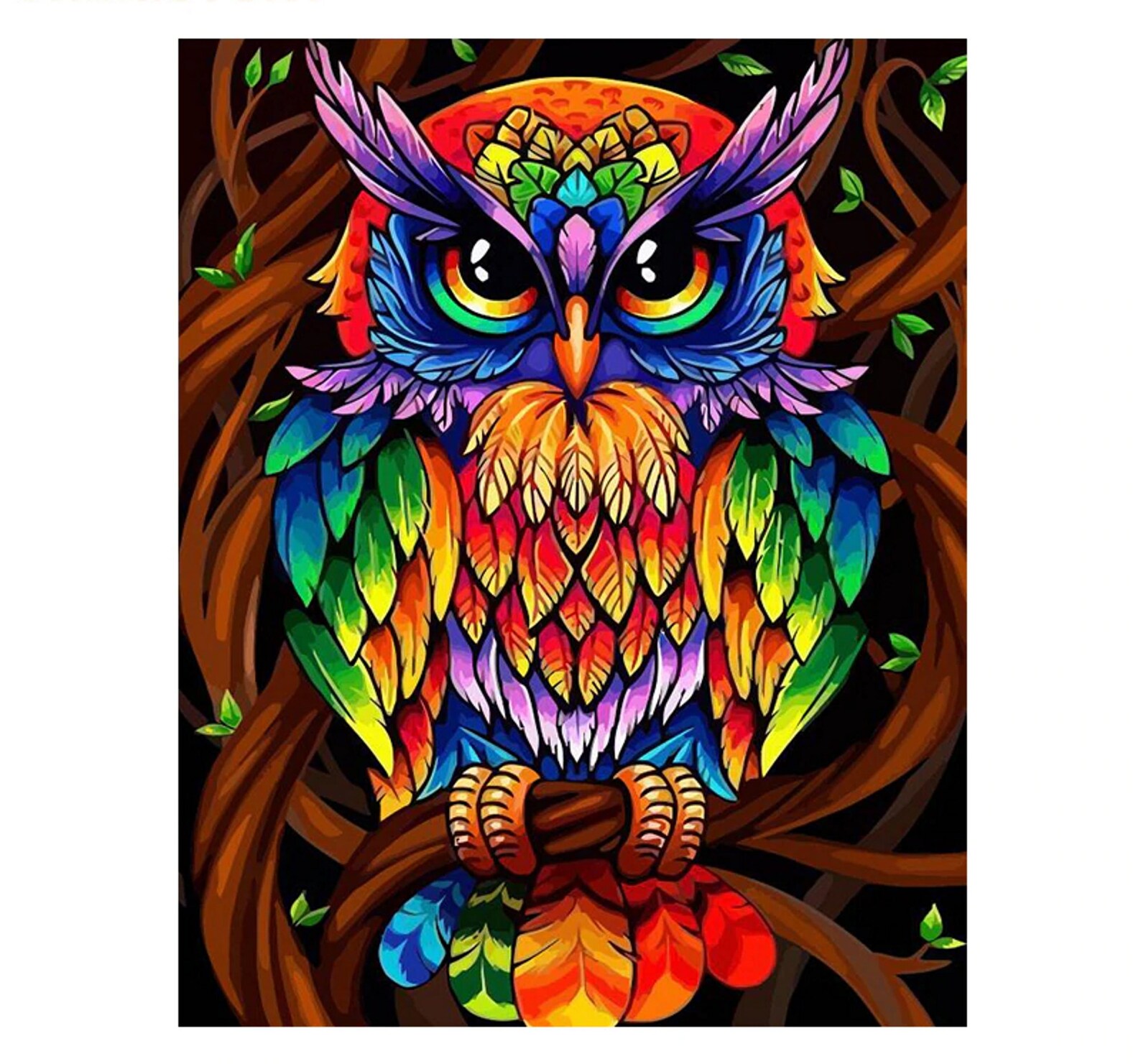 Eule Malen nach Zahlen Set Bunte Kunst DIY Kit Tier