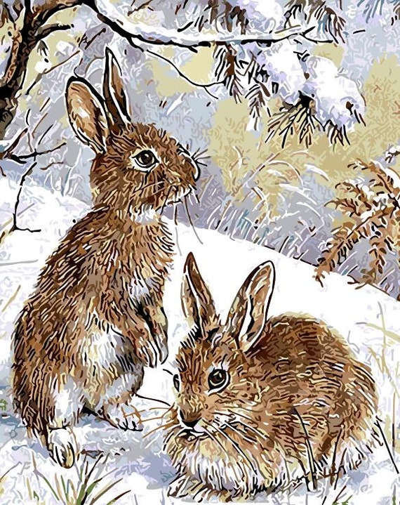 Rabbit Paint by Numbers Kit Two Bunny Animal Art DIY Kit Etsy