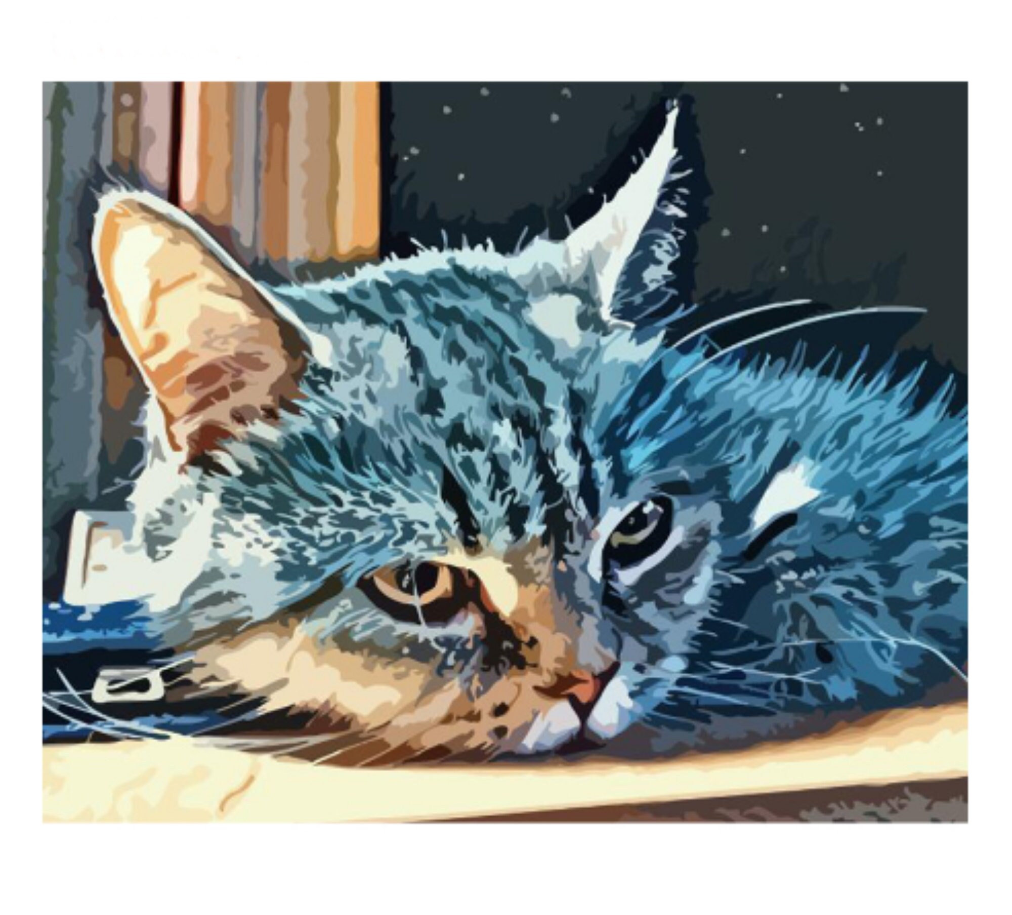 Tabby Cat Paint by Number Kits Fluffy Kitten Pet DIY Kit Etsy