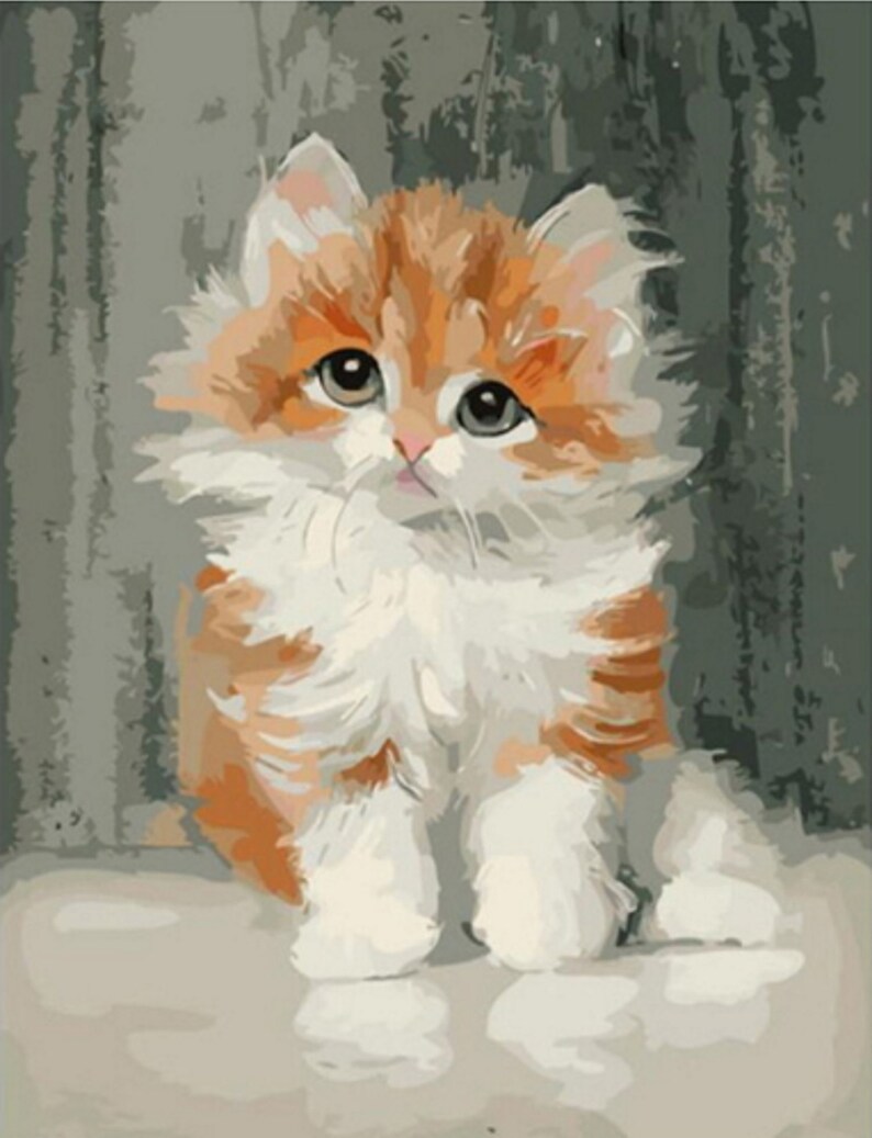 Tabby Kitten Paint by Number Kit Fluffy Orange and White Cat Etsy