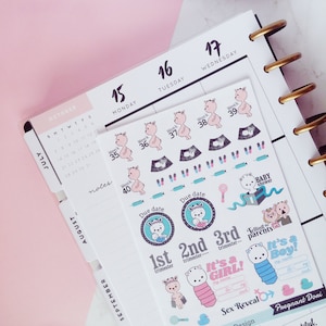 Pregnancy Sticker Kit/pregnancy Planner Stickers/character Stickers ...