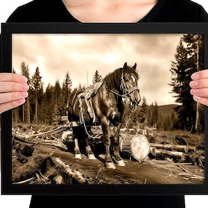 Logging Horse Framed Poster – 1860s Vintage Photo Art