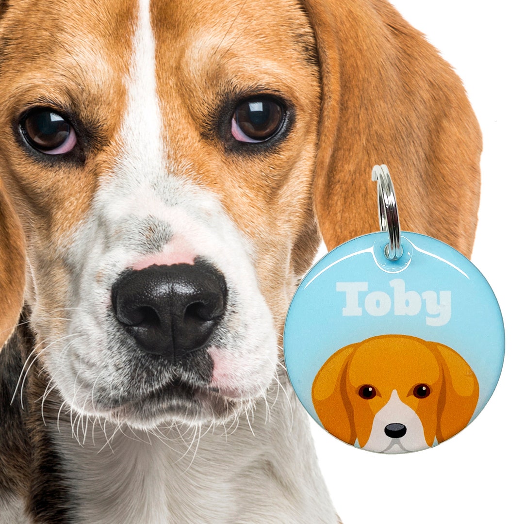 Beagle Dog Name Tag: Acrylic Pet ID Tag, Bashtags - Etsy
