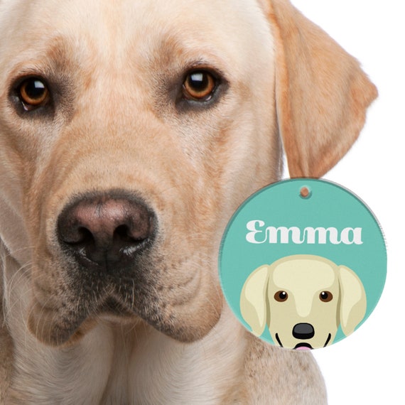 Are Labradors Double Coated