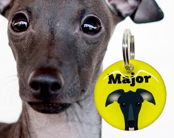 May include: A yellow round dog tag with a black silhouette of an Italian Greyhound and the name "Major" printed in black.