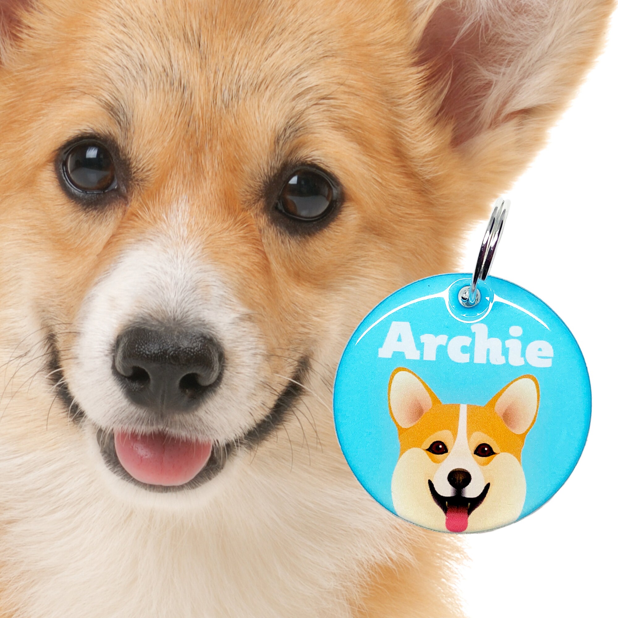 Corgi hot sale dog collars