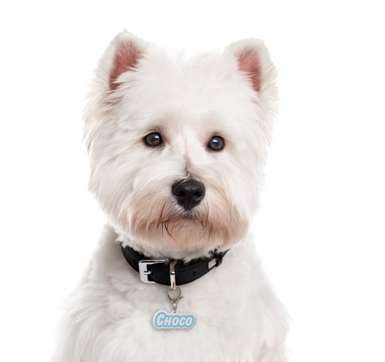 Aluminum Goofy Font Double-Sided Pet ID Tag Dog Tag