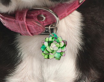 May include: A pet tag with a watercolour succulent design hangs from a pink collar. The tag features shades of green and pink, with a silver metal ring. The collar has a textured, crocodile-like pattern.