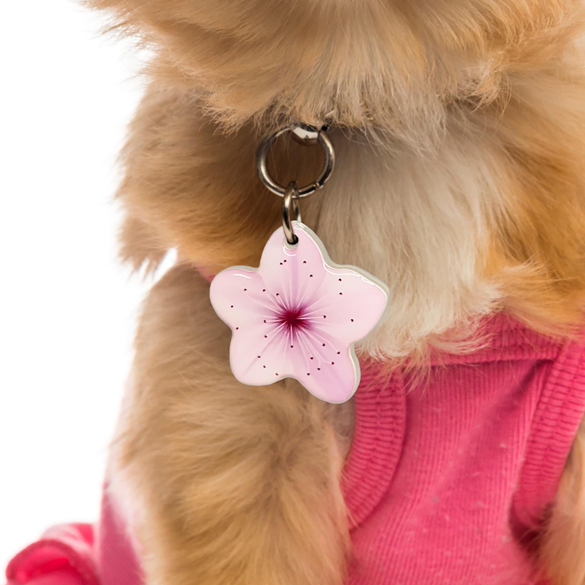 Pink Sakura Pet ID Tag: Acrylic Cherry Blossom, Custom Dog Name