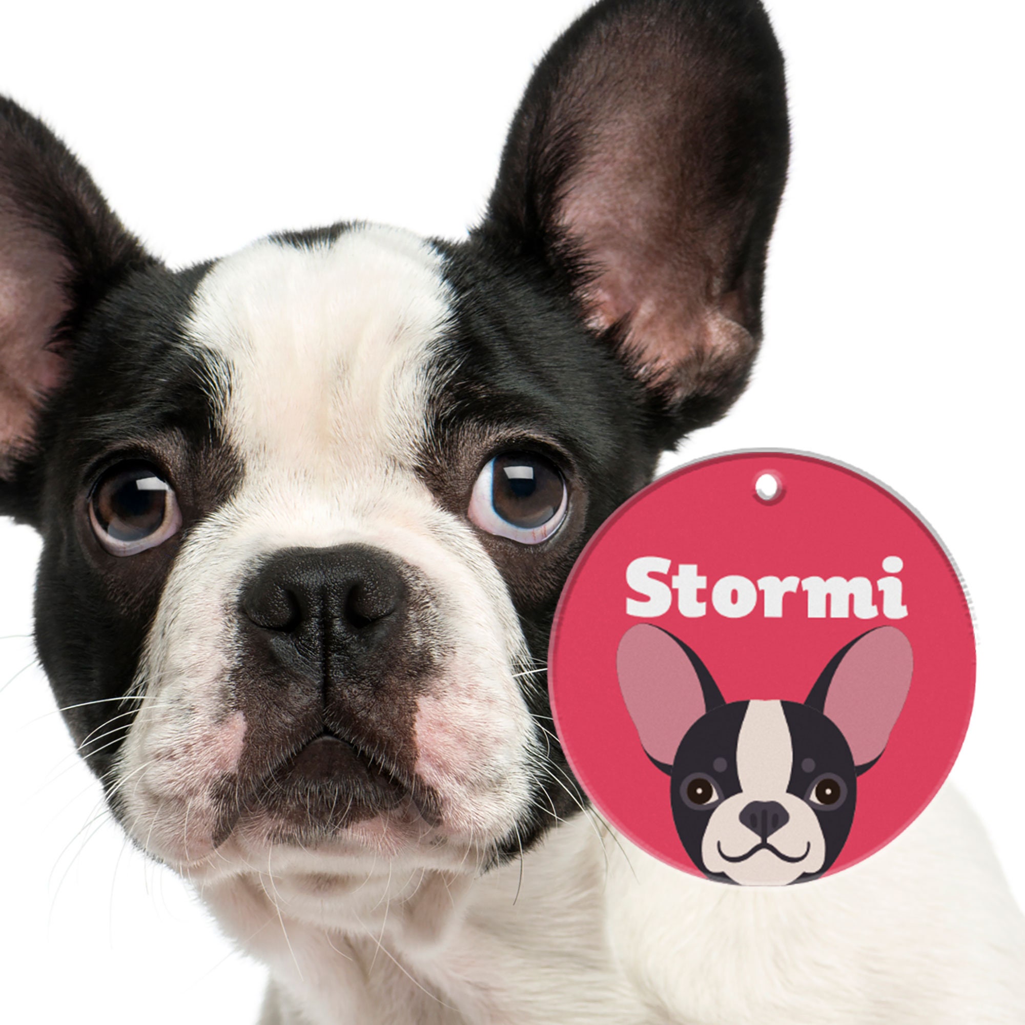 Are French Bulldogs Double Coated