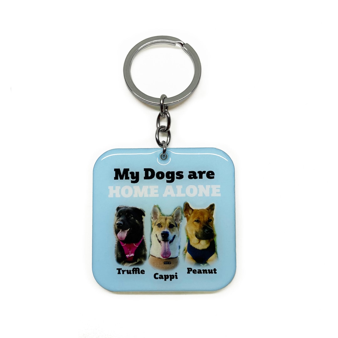 My Pet is Home Alone Alert Keychain, Emergency Pet Keyring Tag, Emergency Contact Keychain