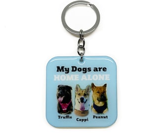 Emergency Pet Alert Keychain: Home Alone Contact Tag