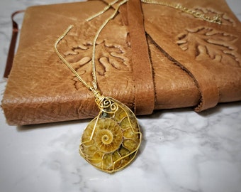 May include: A gold-colored wire-wrapped pendant necklace featuring a fossilized ammonite. The pendant has a spiral design with shades of yellow and brown. The necklace is displayed on a brown leather journal.