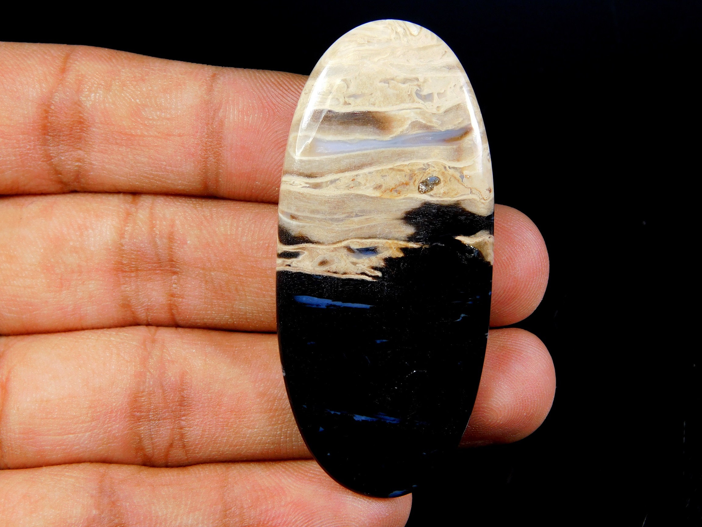 47.00 Cts Beautiful Fossil Palm Root Cabochon Fossil Palm Root Etsy
