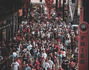 OPACY live