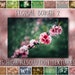 see more listings in the Bokeh Overlays section