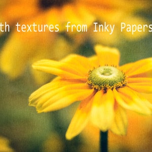 Grunge Texture Overlays for Photoshop, Inky Paper Digital Textures for Photographers image 4
