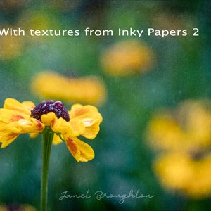 Digital Texture Overlays for Photographers, Inky Papers 2. image 6