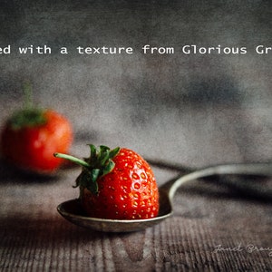 Fine Art Grunge Textures for Photoshop, Glorious Grunge digital texture collection for photographers image 2