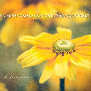 Photoshop Texture Overlay Collection for Photographers, Fine Art Digital Textures, Scrapbooking Backgrounds image 2