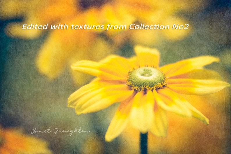 Photoshop Texture Overlay Collection for Photographers, Fine Art Digital Textures, Scrapbooking Backgrounds image 2