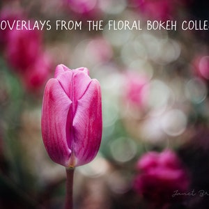 Painterly Fine Art Photoshop Overlays for Photographers The Floral Bokeh Collection of digital textures image 4