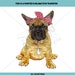 French Bulldog Brown (with Options) Sublimation Transfer, Ready to Press, Mug Transfer, Pillow Transfer