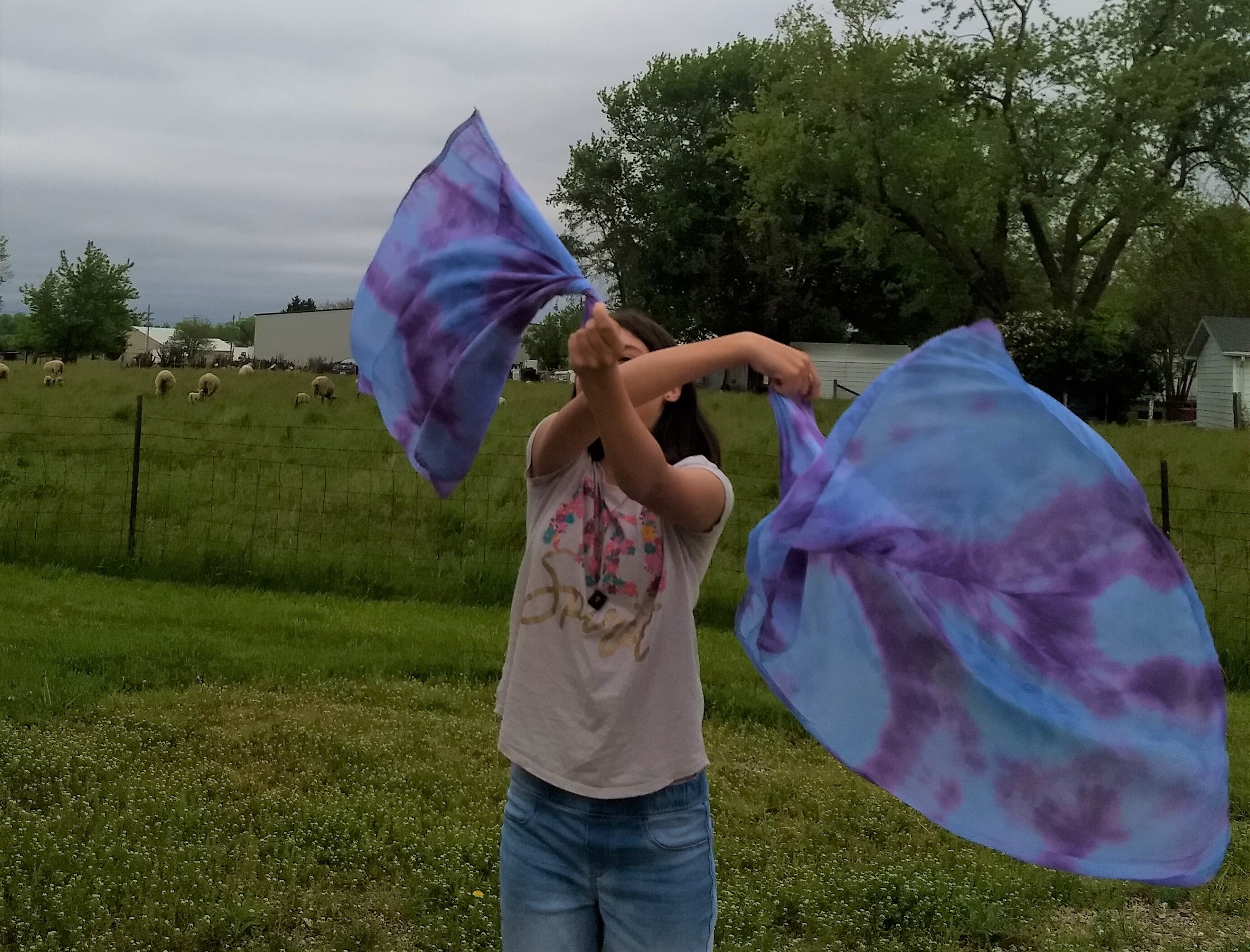 Ready to Ship Worship Swing Flags Royal Majesty Swing Flags