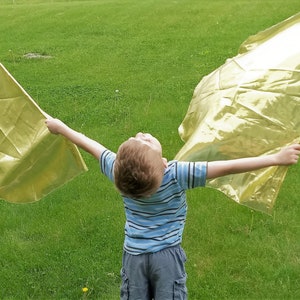 May include: A young person wearing a blue and white striped shirt and grey shorts holds two gold flags in their hands, standing on a green grassy field.