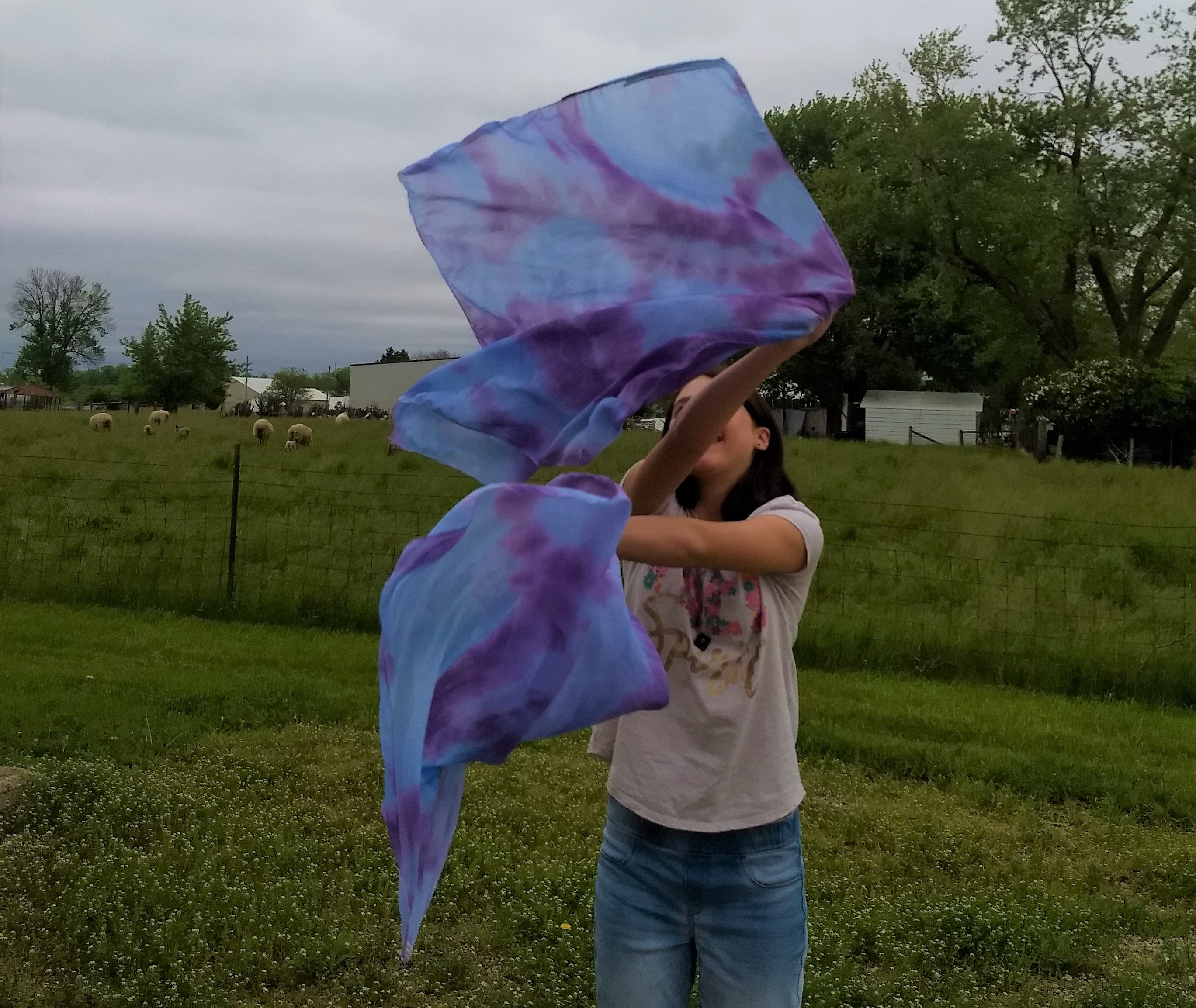 Ready to Ship Worship Swing Flags Royal Majesty Swing Flags