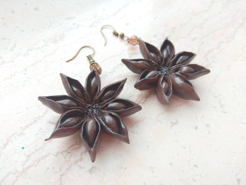 Pendientes de anís marrón especias bayas pendientes plantas