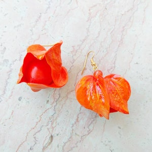 Physalis Herbst Blatt Ohrringe orange