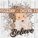 Believe png, Sublimation PNG, Christmas, Santa, Cheetah, Leopard, Christmas tree, buffalo plaid, sublimate, download 