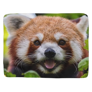 Giant Red Panda Face Fleece Blanket 50x60 60x50 Big Face Animal Asian Firefox Throw Blanket Sherpa Fleece Blanket Wall Hanging Wall Art